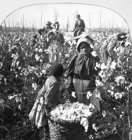Plantacja bawełny w stanie Missisipi, koniec XIX w. – do tej ciężkiej pracy plantatorzy wykorzystywa
