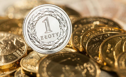 Polska waluta ani myśli wyjść z wąskiego korytarza