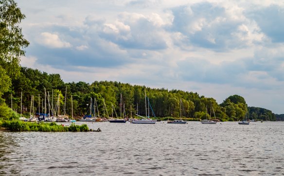 Latem Zalew Sulejowski przyciaga miłośników żeglerstwa. Na zdjęciu port jachtowy