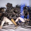 Akcja: Zapraszamy Obamę do Auschwitz