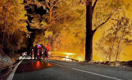 Pożary lasów w Europie, Stanach Zjednoczonych czy Kanadzie to nie tylko straty materialne oraz przyr