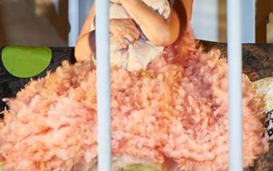 Adriana Ferfecka (Rozyna)