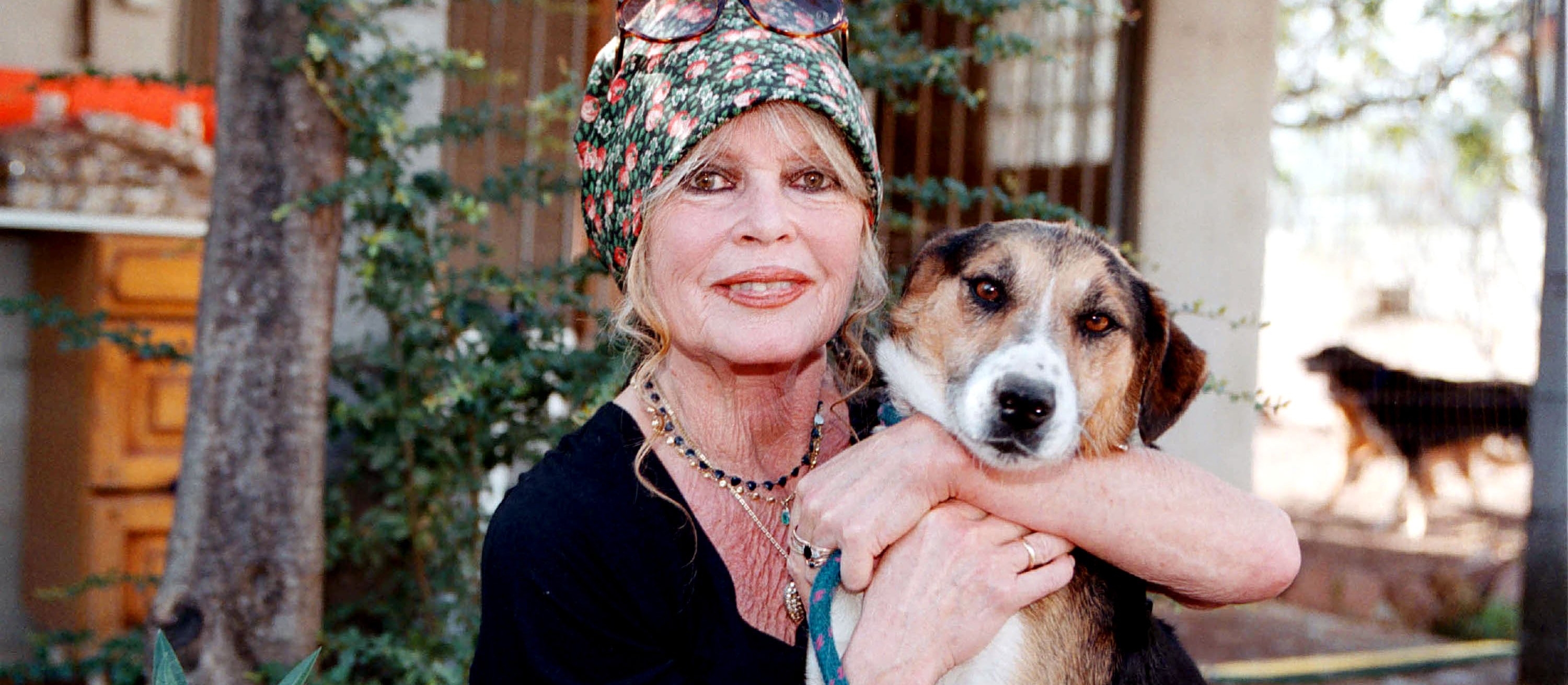 Brigitte Bardot zgromadziła pokaźny majątek. W co inwestowała?