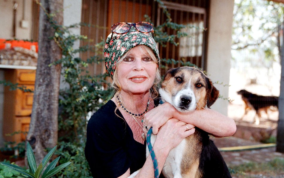Brigitte Bardot w latach 70. zrezygnowała z aktorstwa i poświęciła się opiece nad porzuconymi zwierz