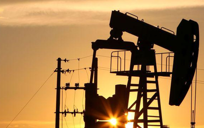 Włosi odkryli wielkie zasoby ropy naftowej