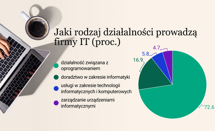 Przybywa firm z branży IT, popyt na informatyków rośnie. Płace też?