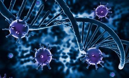 Przełom w walce z HIV. Na razie u myszy