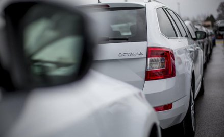 Skoda, Ford i Peugeot na topie