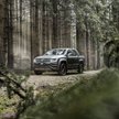 Volkswagen Amarok na sterydach