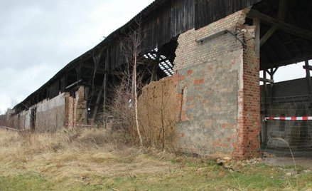 Przeciwnicy Egrowskich zarzucają im, że nie dbają o dużą część cennej nieruchomości