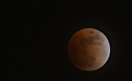 Rosja przegrywa ze SpaceX, ale chce zdobyć Księżyc