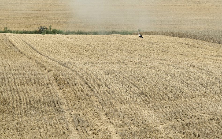 Unia Europejska importuje ogromne ilości produkowanych w Rosji nawozów sztucznych