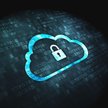 Dyrektor generalny Microsoftu w Polsce: Cyfrowa gorączka złota