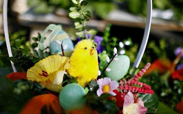 Provident: rodzina wyda w tym roku na Wielkanoc ok. 400 zł