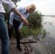 Minister klimatu i środowiska Anna Moskwa podczas konferencji prasowej w Żabnicy k. Gryfina. Spotkan