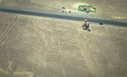 Drzewo - jeden z geoglifów w pobliżu miasta Nazca