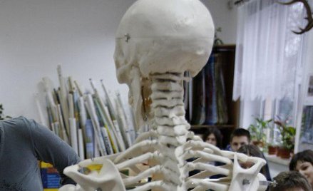 Jakie kości, taki metabolizm