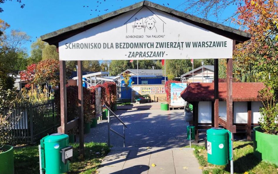 Radni Warszawy dopytują, dlaczego schronisko ma nieaktualną stronę