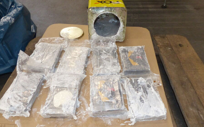 Udaremniono przemyt 23 ton kokainy do Holandii