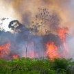 Przyczyną podpaleń w Brazylii najprawdopodobniej jest chęć oczyszczenia ziemi pod hodowlę bydła