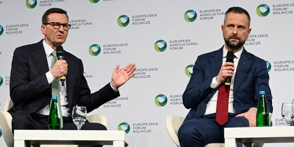 PSL rośnie w siłę, Morawiecki również. Początek nowej politycznej układanki