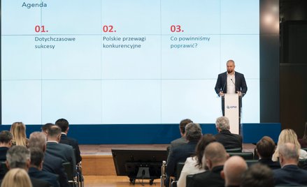 Jest popularne określenie „tygrys gospodarczy”. Polska jest właśnie takim tygrysem, który nieprzerwa