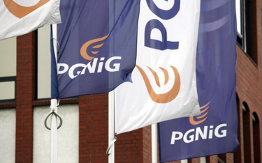 PGNiG chce mieć silniejszą pozycję na rynku gazu