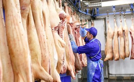 Polska liczy na odzyskanie rynków w Chinach i Rosji