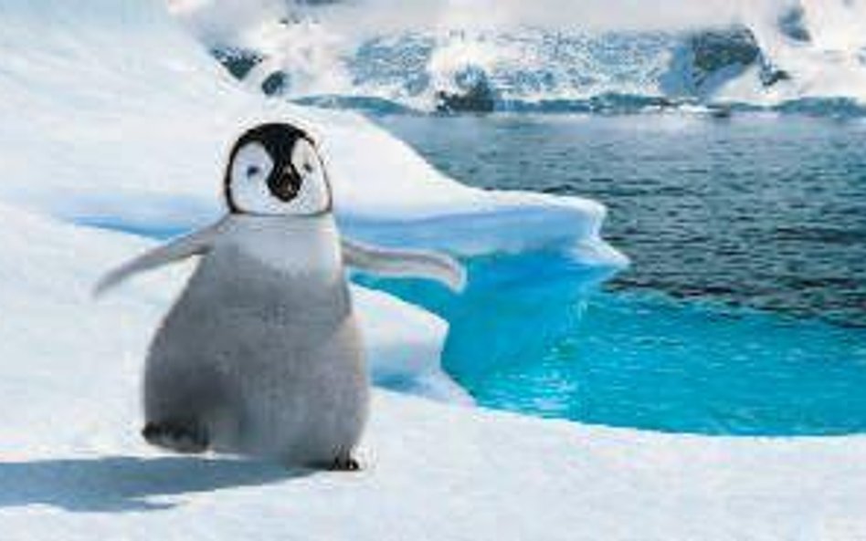 Happy Feet: Tupot małych stóp w TVN; NIEDZIELA | 20.00