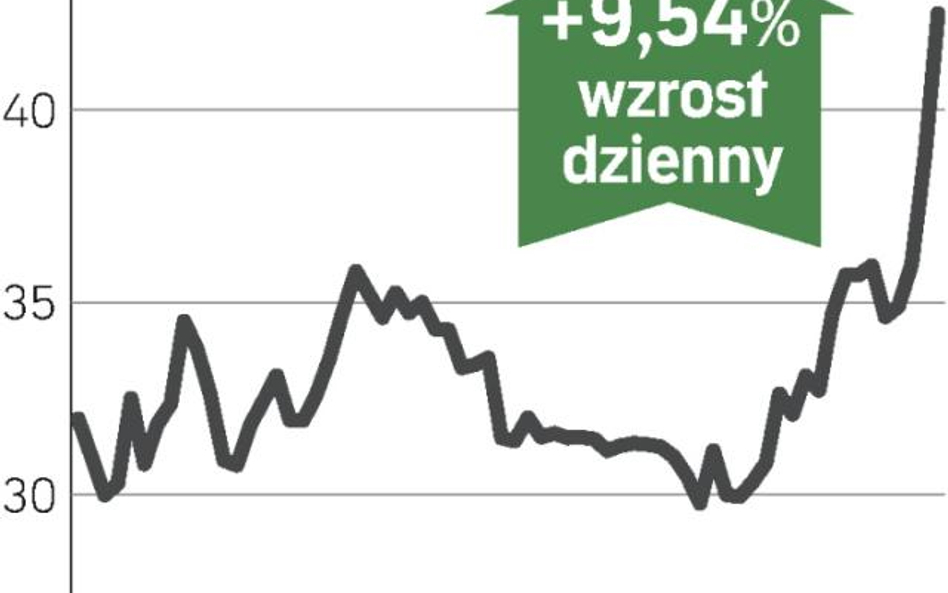 Wzrostowy impuls z Wybrzeża