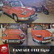 Panhard PL17 Tiger to wyjątkowo ekstrawagancki typ. Ciekawa jest geneza nazwy: litery PL pochodzą od
