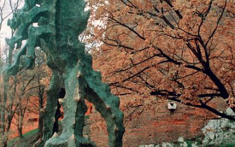 Dyskusja o zieleni pod Wawelem: zamek@wawel.edu.pl