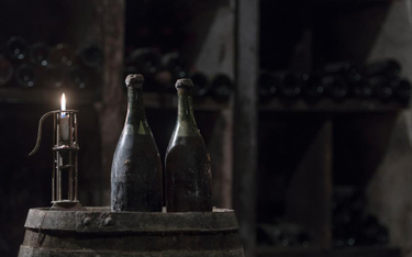 Trzy butelki wina z 1774 roku trafią na aukcję we Francji