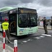 Kontrola autobusu miejskiego kursującego między Frankfurtem nad Odrą a Słubicami