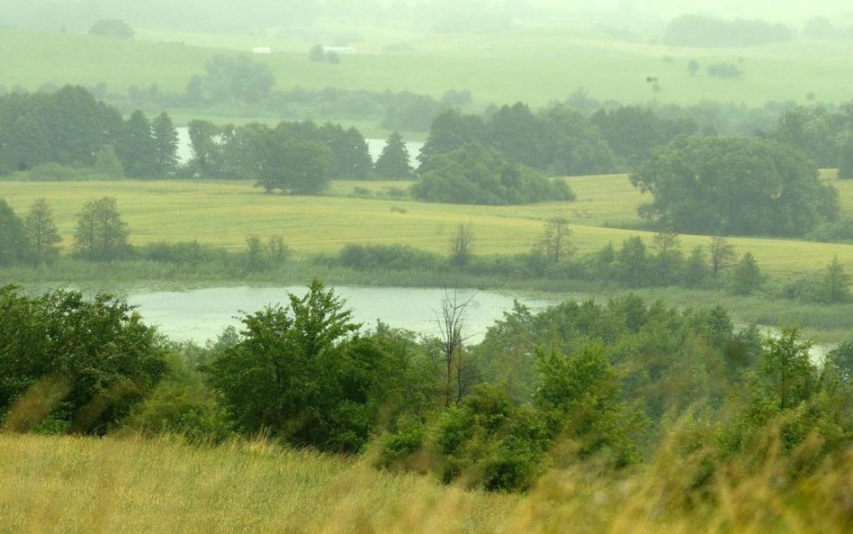 Posłowie powalczą ze „słupami”