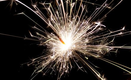 Cichsze sylwestry ze względu na oszczędności i zwierzęta