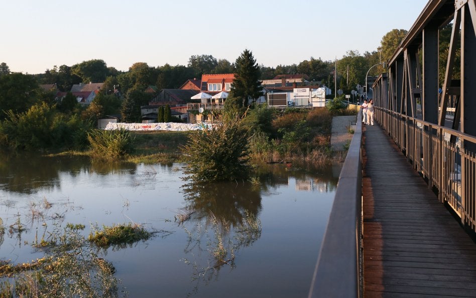 Odra w rejonie Cigacic