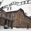 Adwokaci zamordowani w Auschwitz-Birkenau