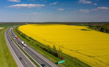 Drobnicowe ożywienie w całej Europie