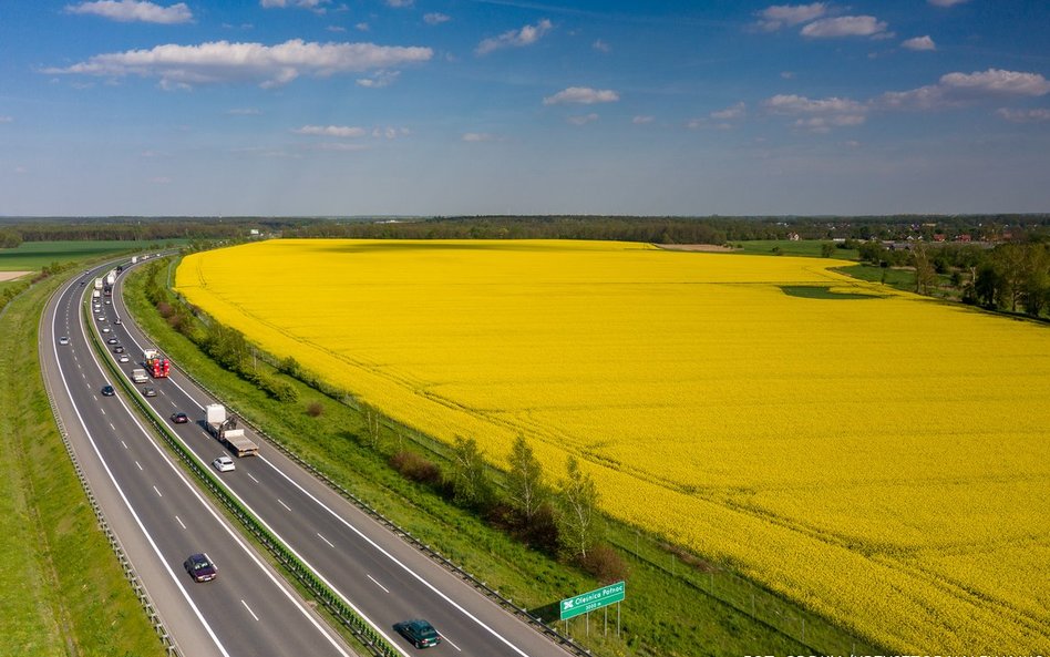 Pomimo wzrostu myta ceny frachtów maleją