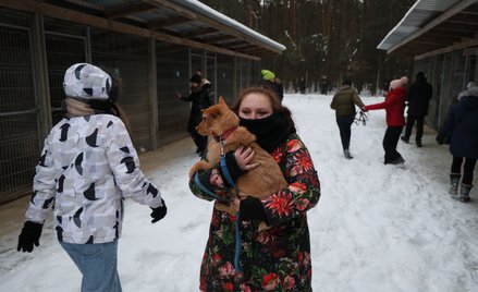 Akcja zabierania psów ze schroniska dla zwierząt "Happy Dog" w miejscowości Sobolew
