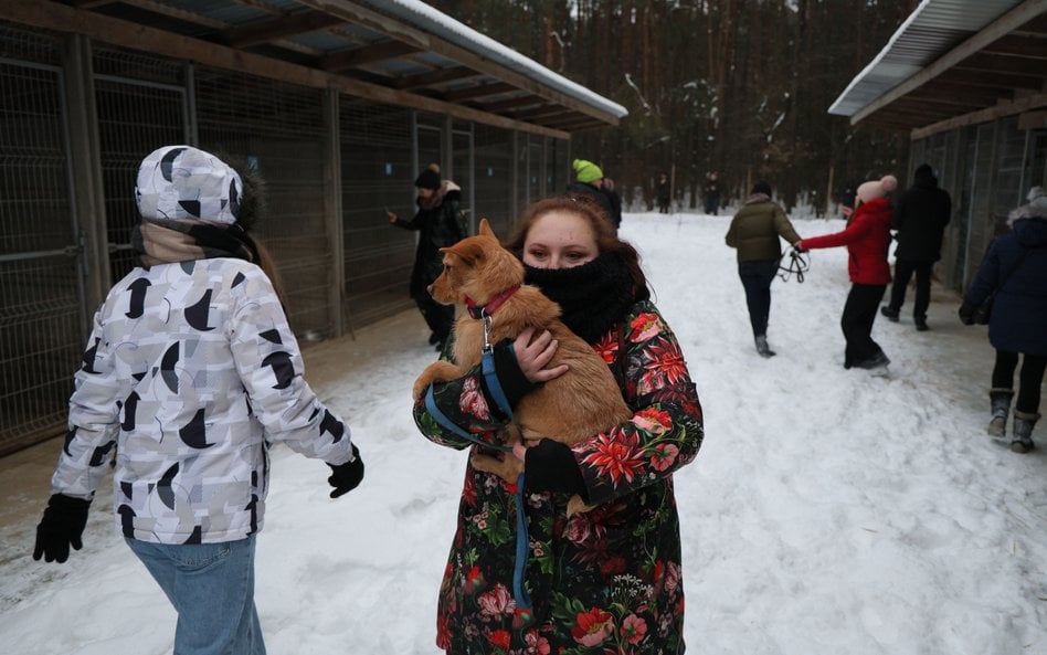 Akcja zabierania psów ze schroniska dla zwierząt "Happy Dog" w miejscowości Sobolew