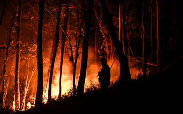 Pożar w Portugalii, 13 lipca