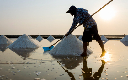 Światowa produkcja soli wyniosła w ubiegłym roku około 290 mln ton, z czego około 4 mln ton przypadł