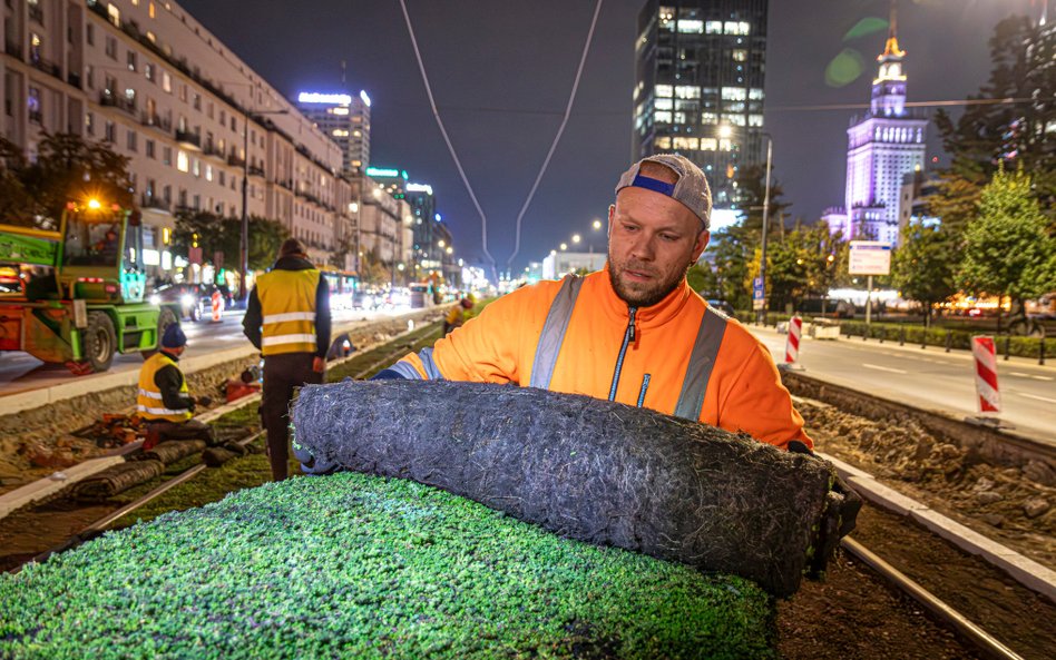 Zazielenianie torowiska rozchodnikiem to ciężka fizyczna praca