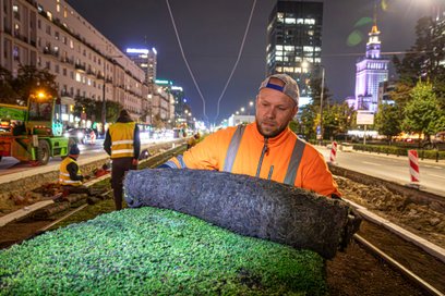 Zazielenianie torowiska rozchodnikiem to ciężka fizyczna praca