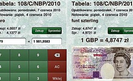 NBP jest w trakcie przygotowywania nowych programów dotyczących m.in. kursów walutowych