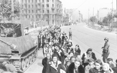 Szacuje się, że od sierpnia do października 1944 r. Niemcy wypędzili z Warszawy ponad pół miliona mi
