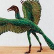 Praptak Archaeopteryx lithographica był wielkości gawrona. Miał uzbrojony w zęby pysk i pazury na sk