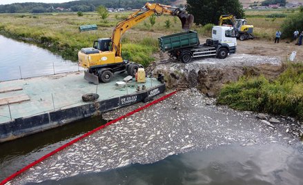 Pływającą zapora do ściągania martwych ryb na Odrze w Krajniku Dolnym